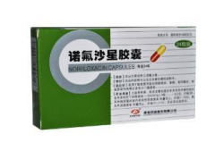 诺佛沙星胶囊,抗菌消炎，守护健康之道