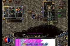 1.76金币版本,畅游1.76金币版新篇章