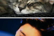 娱乐圈吃瓜猫是谁啊,揭秘神秘“吃瓜猫”的真实身份