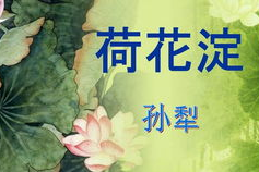 荷花淀人物,抗战时期农村妇女的英勇与坚韧