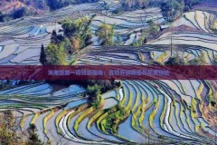 探险旅游？三亚出租车价格