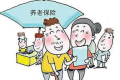 武汉养老保险,武汉养老保险改革与发展概览